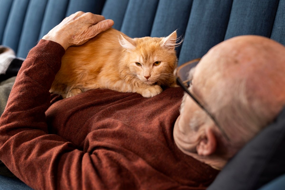 “Amassar pãozinho” significa mais do que afeto entre gatos e seus tutores